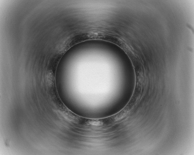 X0000099440659200805091313