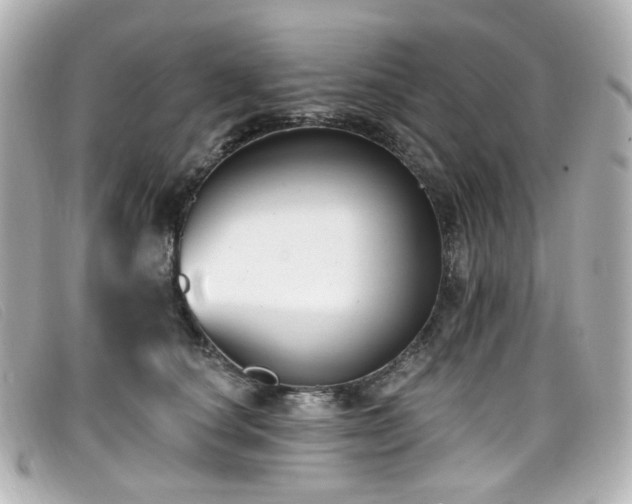 X0000099440660200805091313