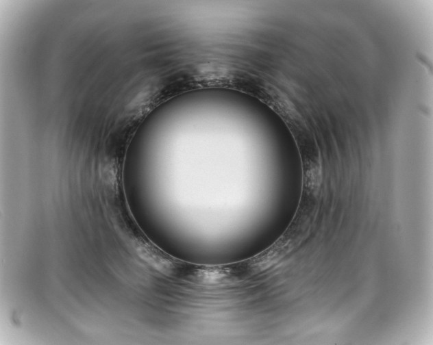 X0000099440662200805091313