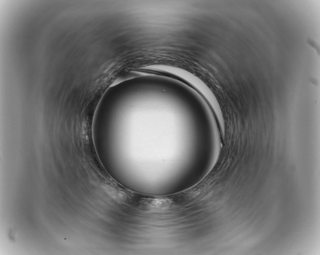X0000099440663200805091314