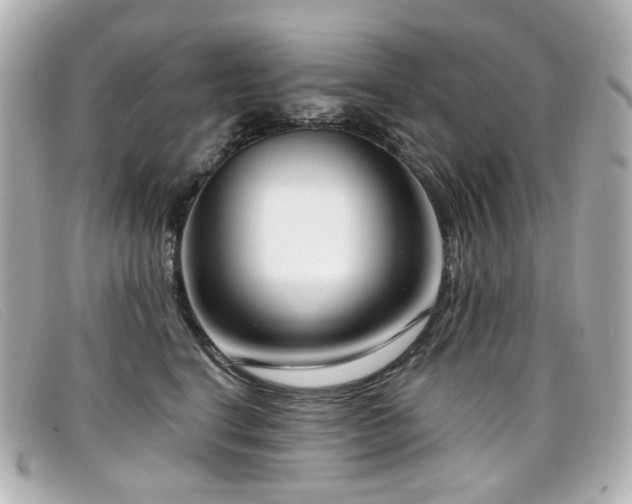 X0000099440664200805091314