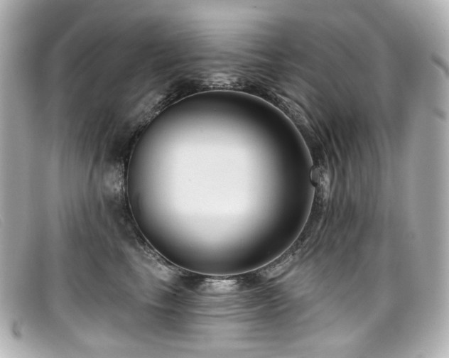 X0000099440665200805091314