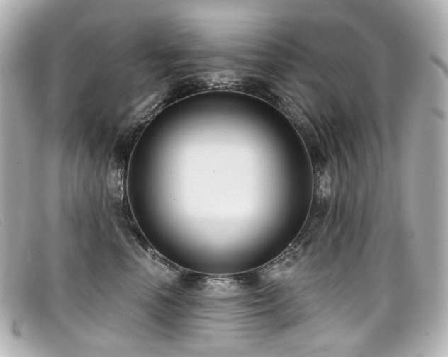X0000099440666200805091314