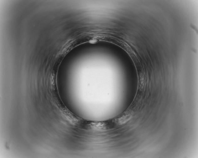 X0000099440667200805091314