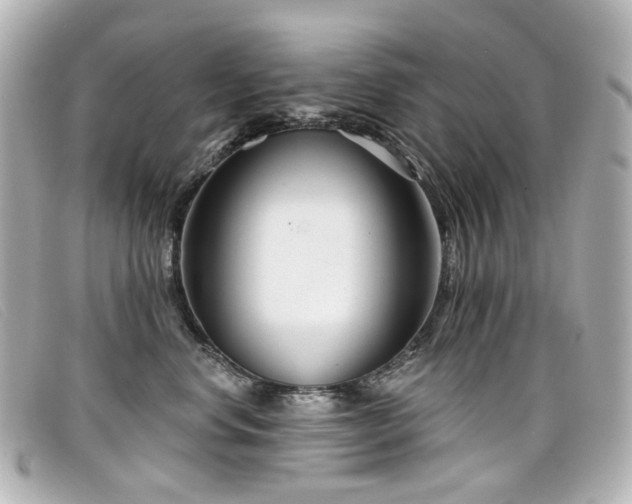 X0000099440668200805091314