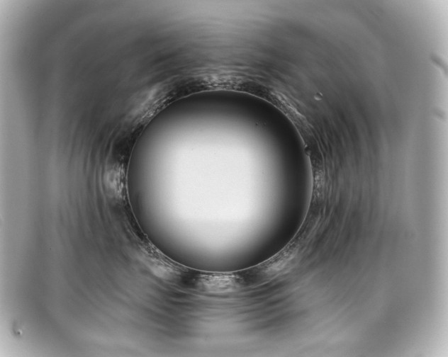 X0000099440671200805091314