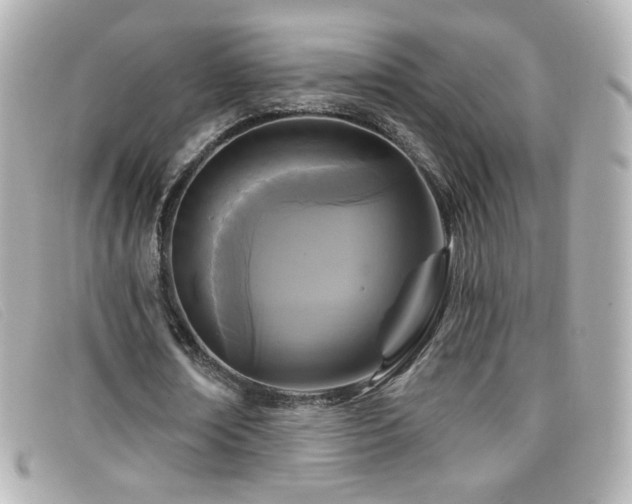 X0000099440674200805091313