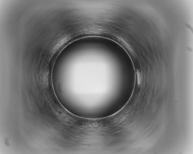 X0000099440675200805091313