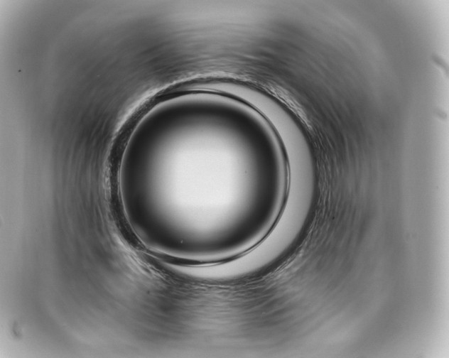 X0000099440676200805091313