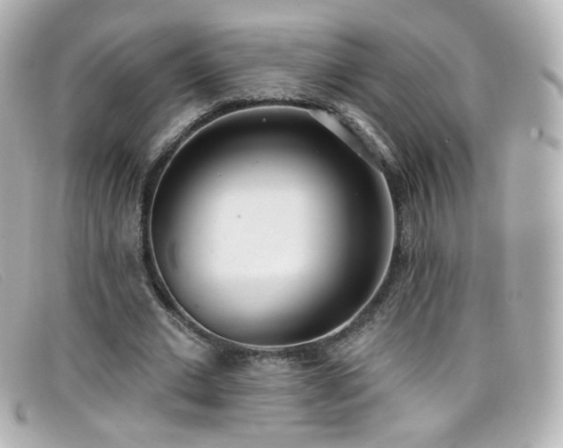 X0000099440677200805091313