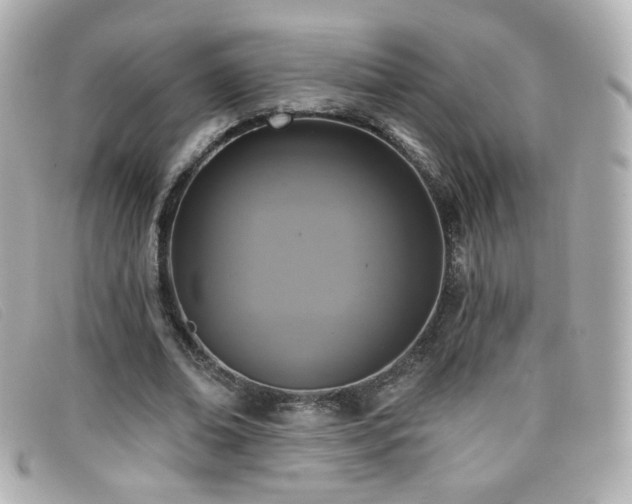 X0000099440678200805091313