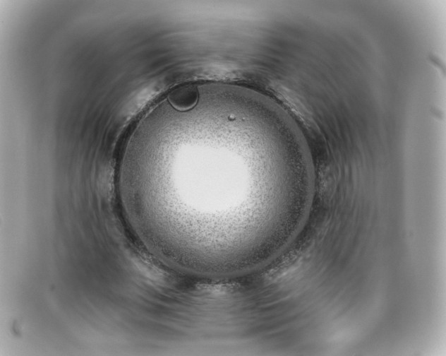X0000099440679200805091313