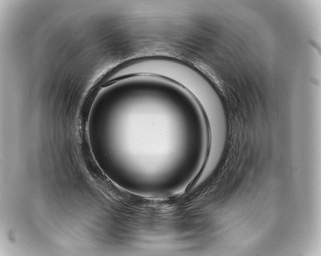 X0000099440680200805091313