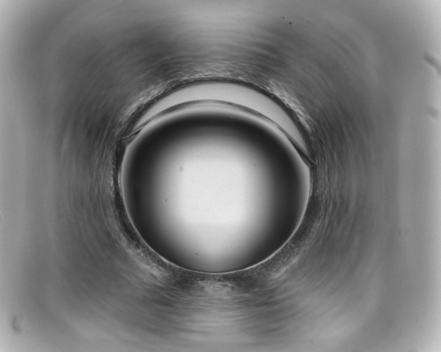X0000099440681200805091313