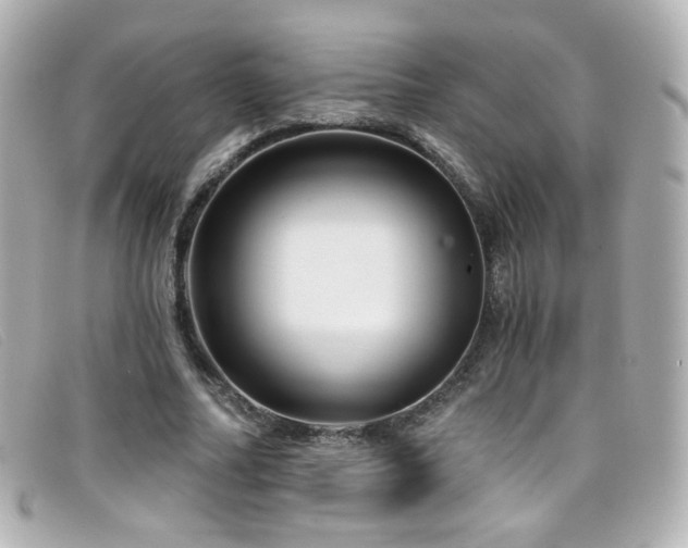 X0000099440682200805091313