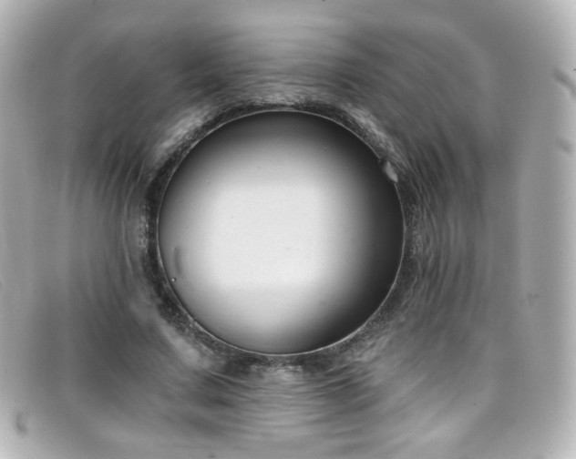X0000099440683200805091313