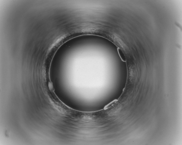 X0000099440684200805091313
