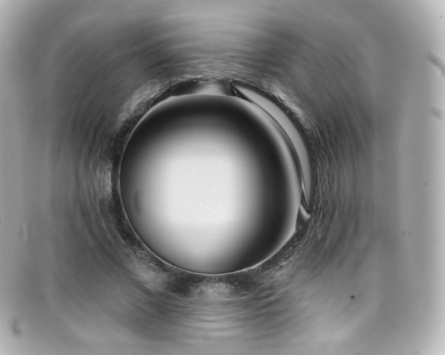 X0000099440685200805091313