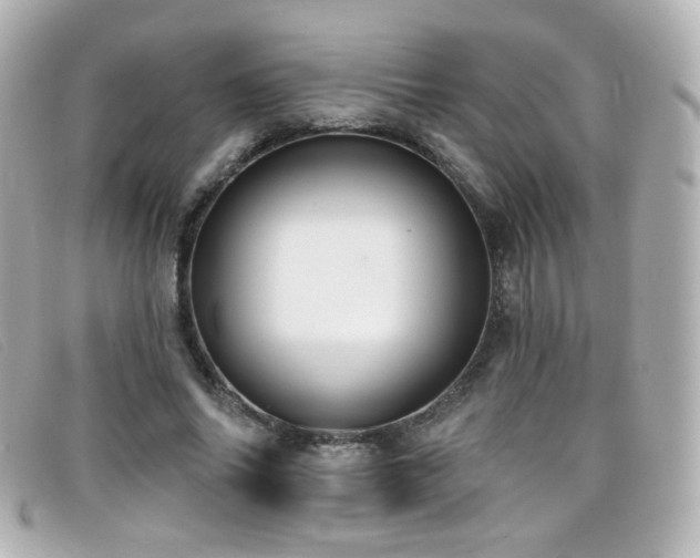 X0000099440686200805091313