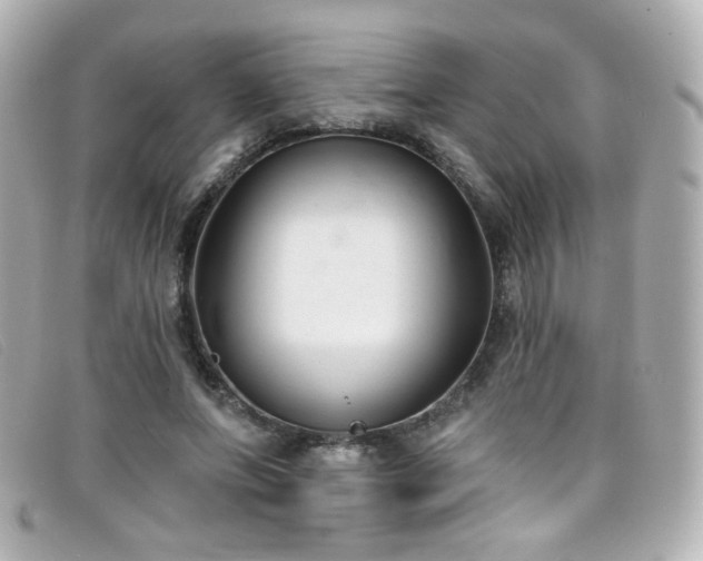 X0000099440687200805091313