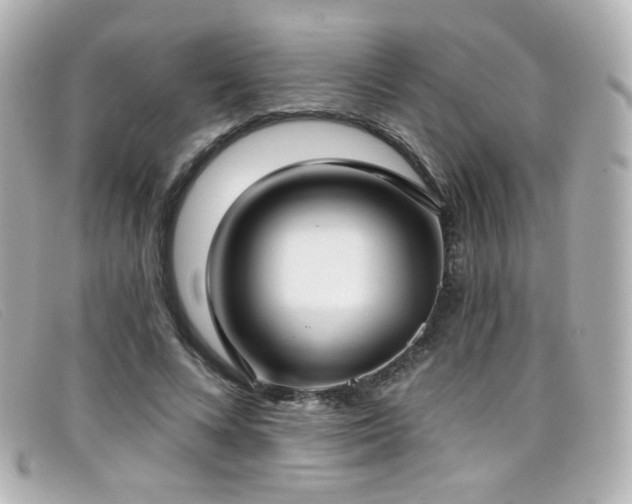 X0000099440688200805091313