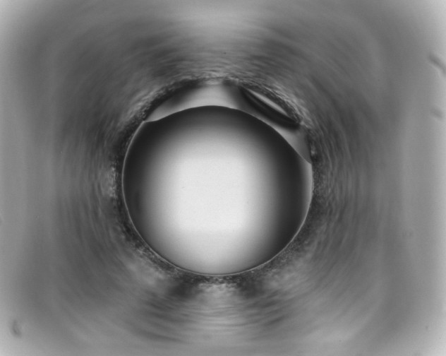 X0000099440689200805091313