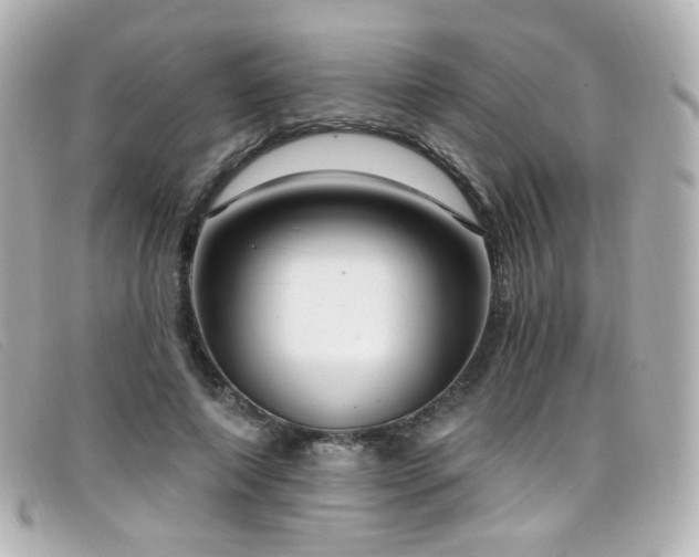 X0000099440690200805091313