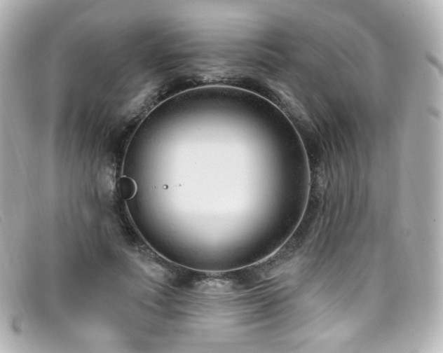 X0000099440691200805091313