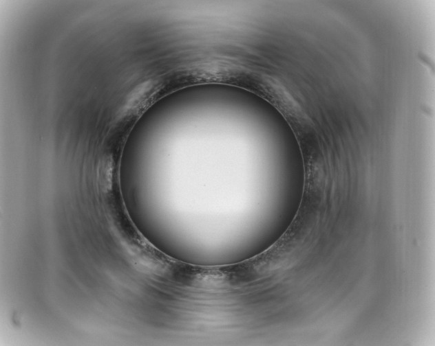 X0000099440694200805091313