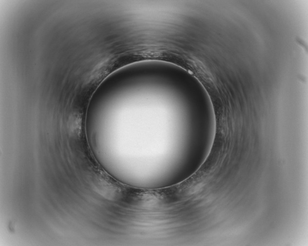 X0000099440697200805091313