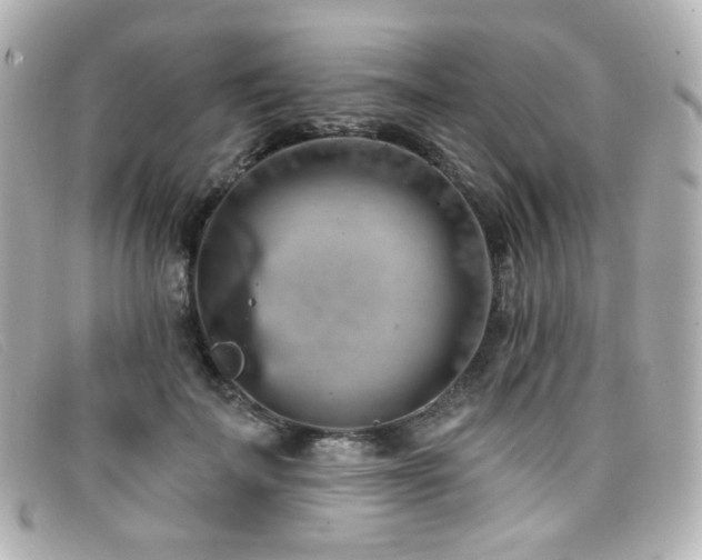 X0000099440699200805091313