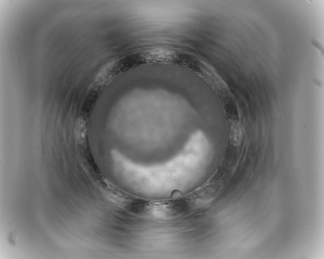 X0000099440701200805091312