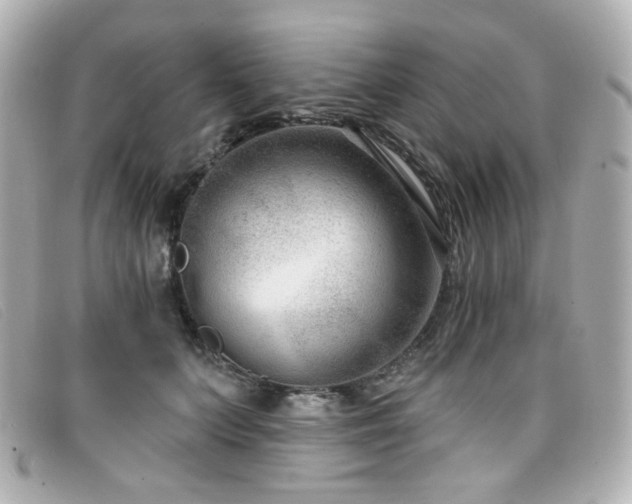 X0000099440703200805091312