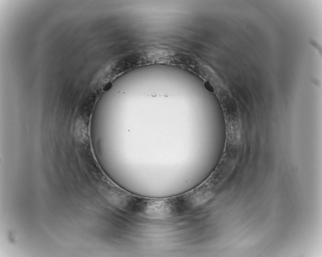 X0000099440705200805091312