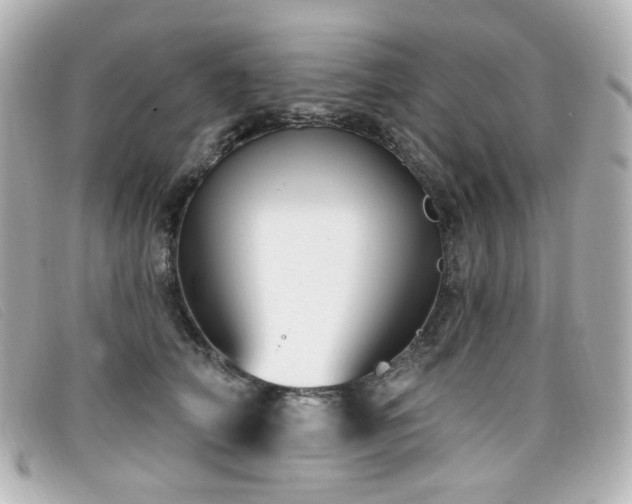 X0000099440706200805091312