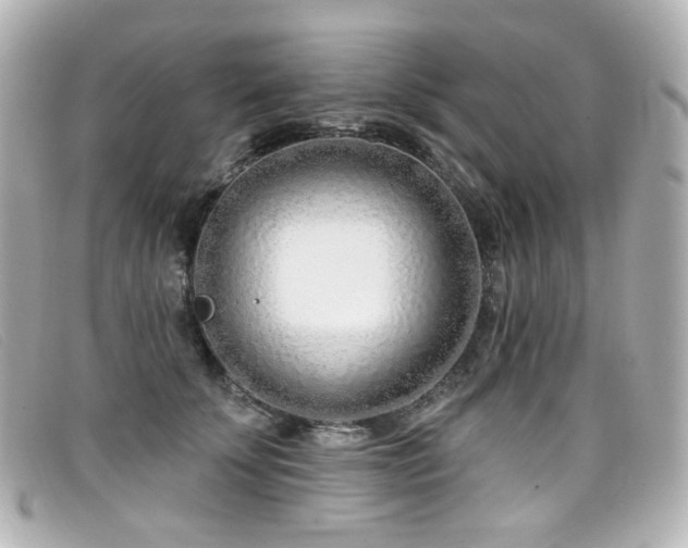 X0000099440707200805091312