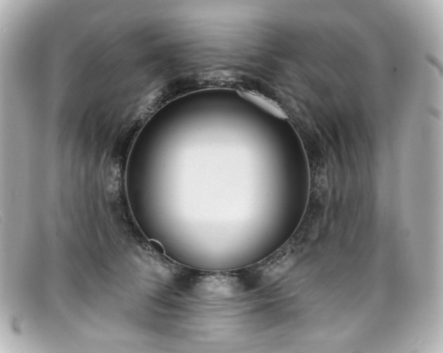 X0000099440708200805091312