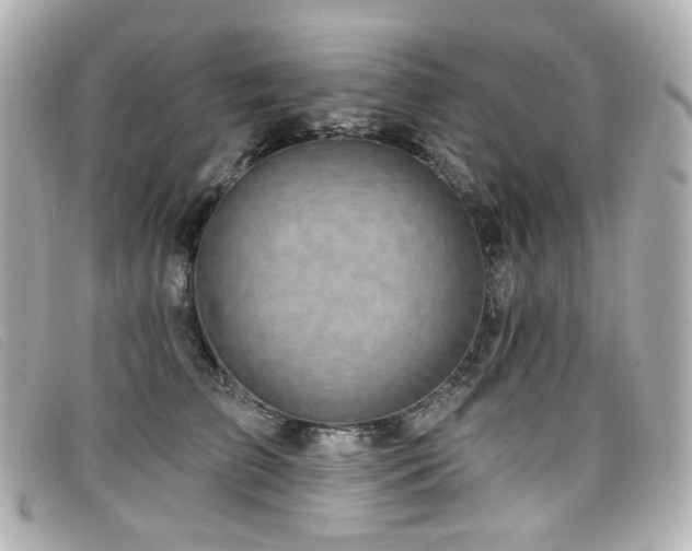X0000099440709200805091312