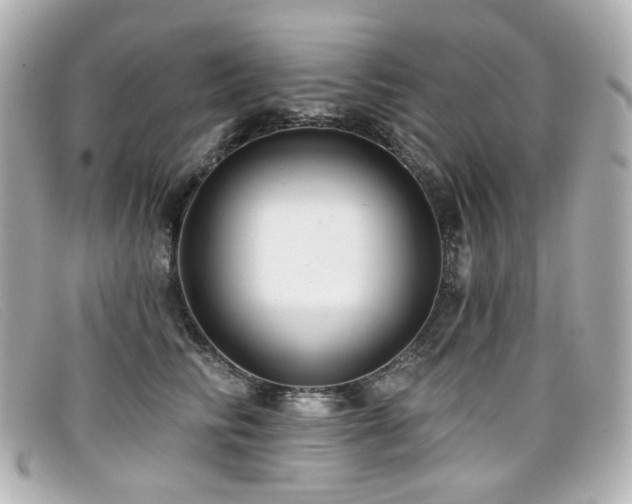 X0000099440710200805091312