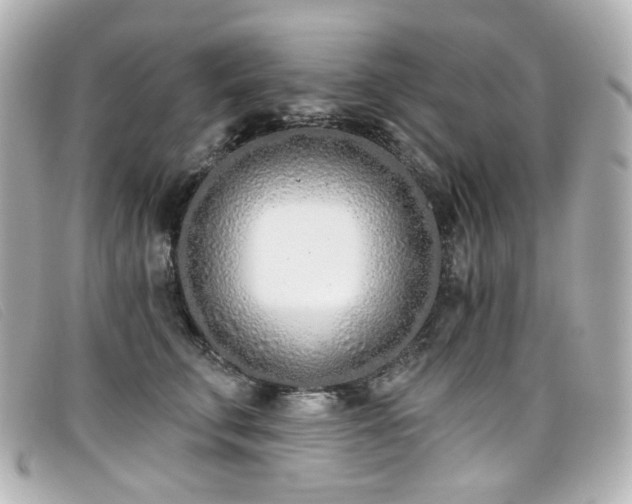 X0000099440711200805091312