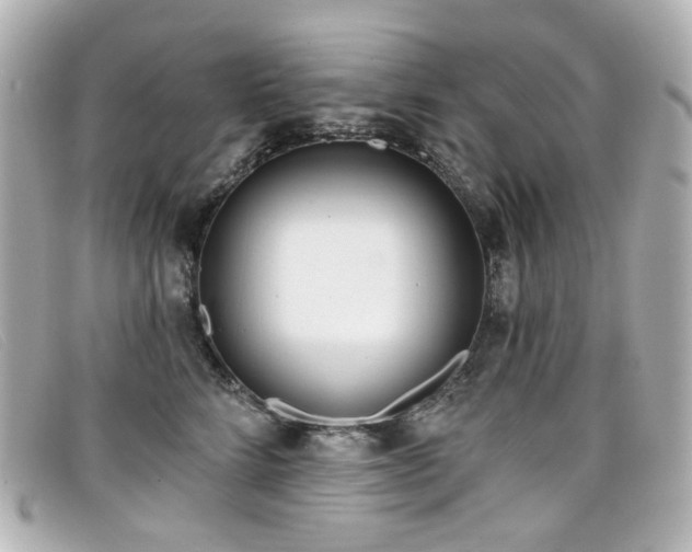 X0000099440712200805091312