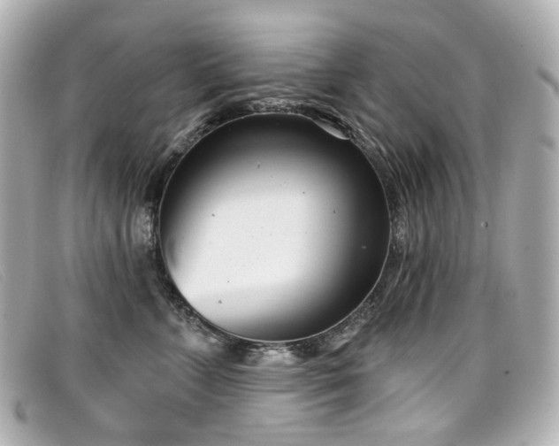 X0000099440715200805091312