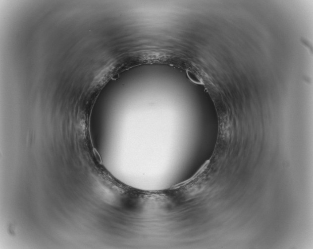 X0000099440716200805091312