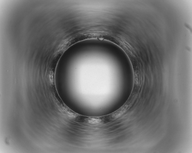 X0000099440718200805091312