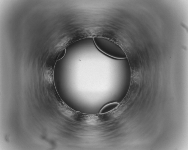 X0000099440719200805091312