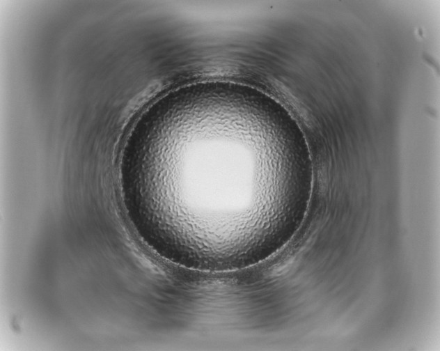 X0000099440721200805091312