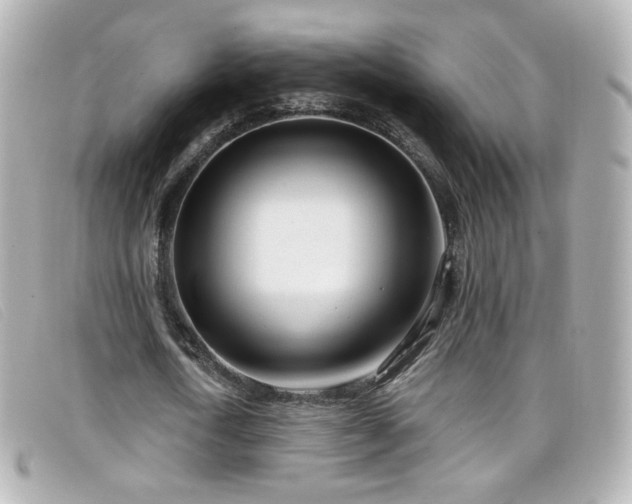 X0000099440722200805091312