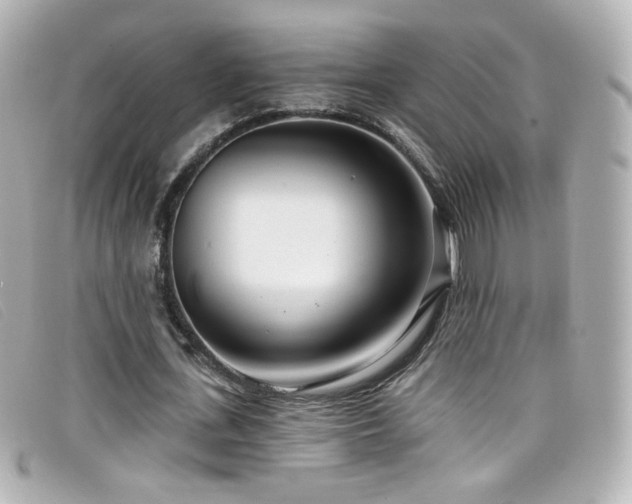 X0000099440723200805091312