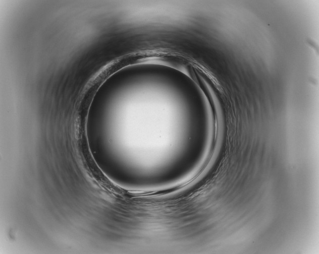 X0000099440724200805091312