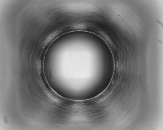 X0000099440725200805091312